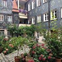 Grüne Sträucher und Rosen schmücken den Innenhof.
