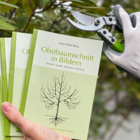 Da es im eigenen Garten wieder Zeit wird, sich der Baumpflege zu widmen, verlosen wir unter allen richtigen Antworten 5 praktische Sachbücher, mit deren Hilfe Sie ihren Obstbäumen den perfekten Schnitt geben können.